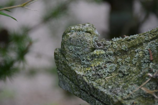Hjemmesidesystemer (32)